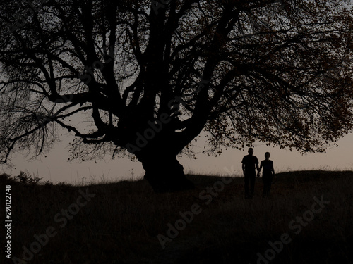 silhouette of a couple walking in the park