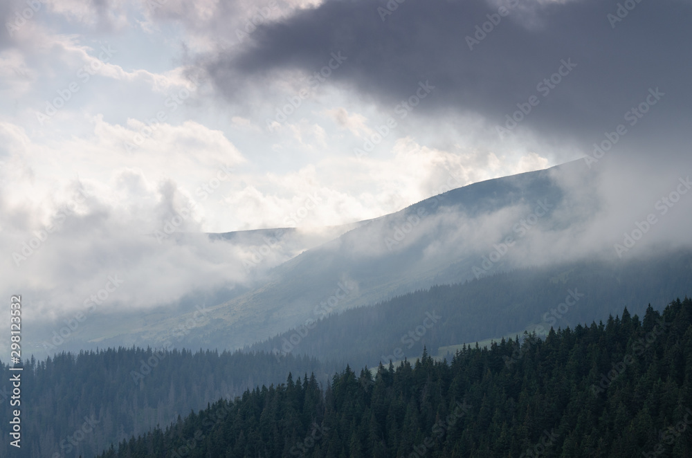 Storm clouds over spruce forest in Carpathian mountains 