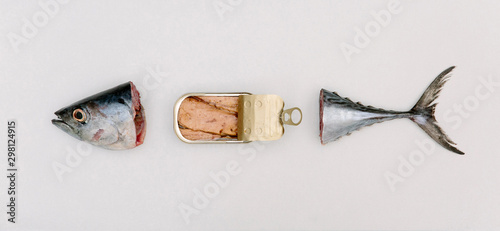 Tuna head and tail with tin of tuna concept