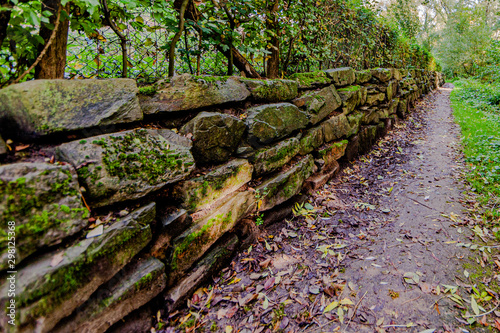 Close up of mossy stone next to a dirt road with dry leaves, day at the beginning of the autumn in Schinnen (Beekdal Route), the Netherlands Holland photo