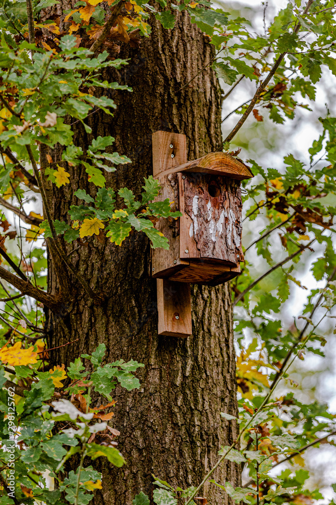 Wooden birdhouse hanging from a tree