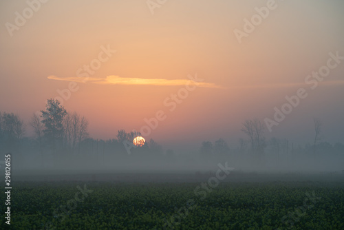 foggy autumn morning