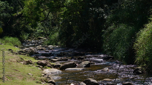 Wallpaper Mural Riacho Torontodigital.ca