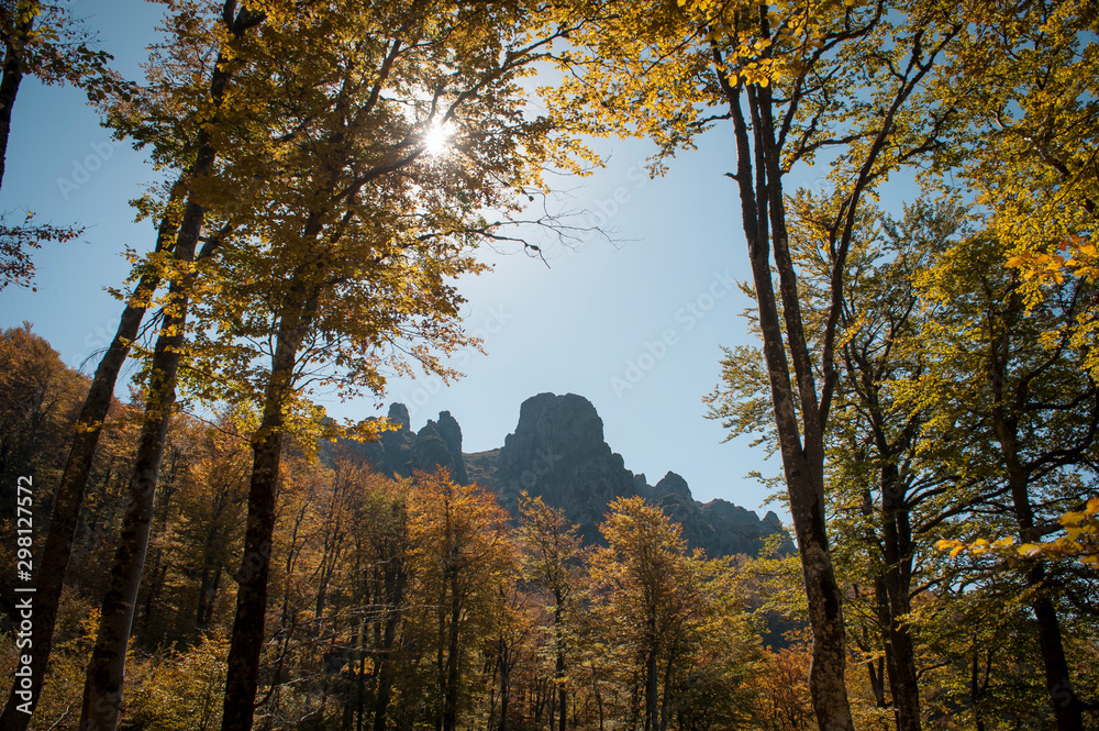 Fototapeta premium Autumn on the mountain. Blue sky and yellow leaves. View of the mountain top