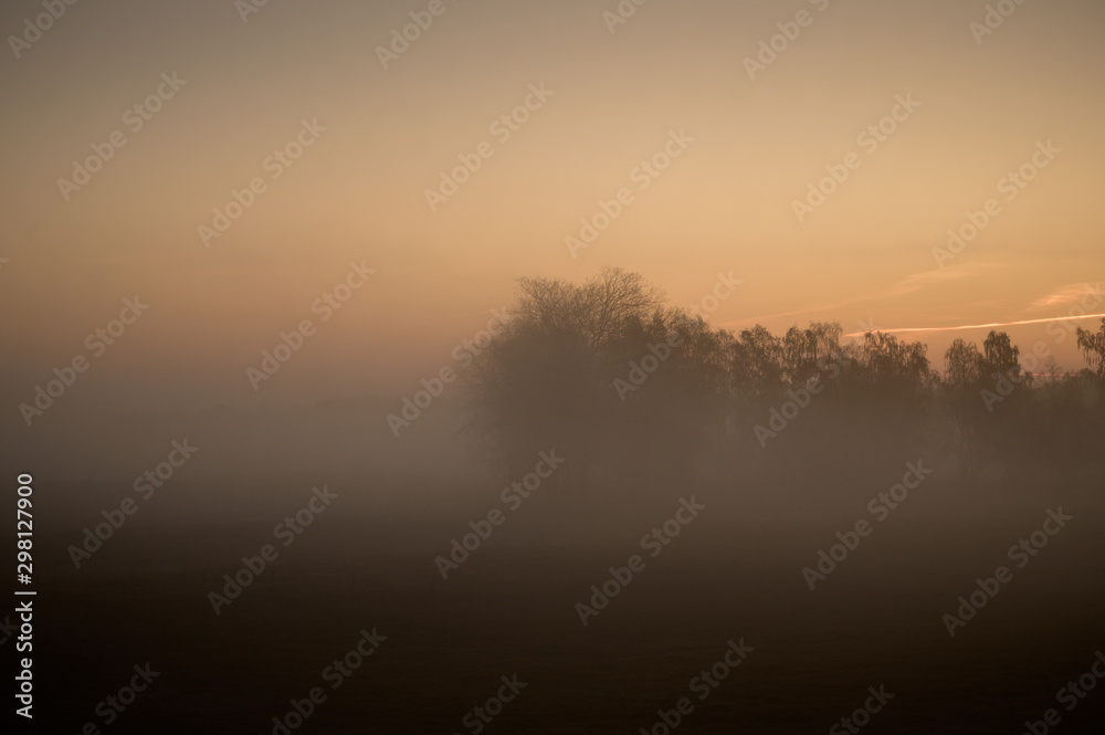 Obraz premium foggy sunrise