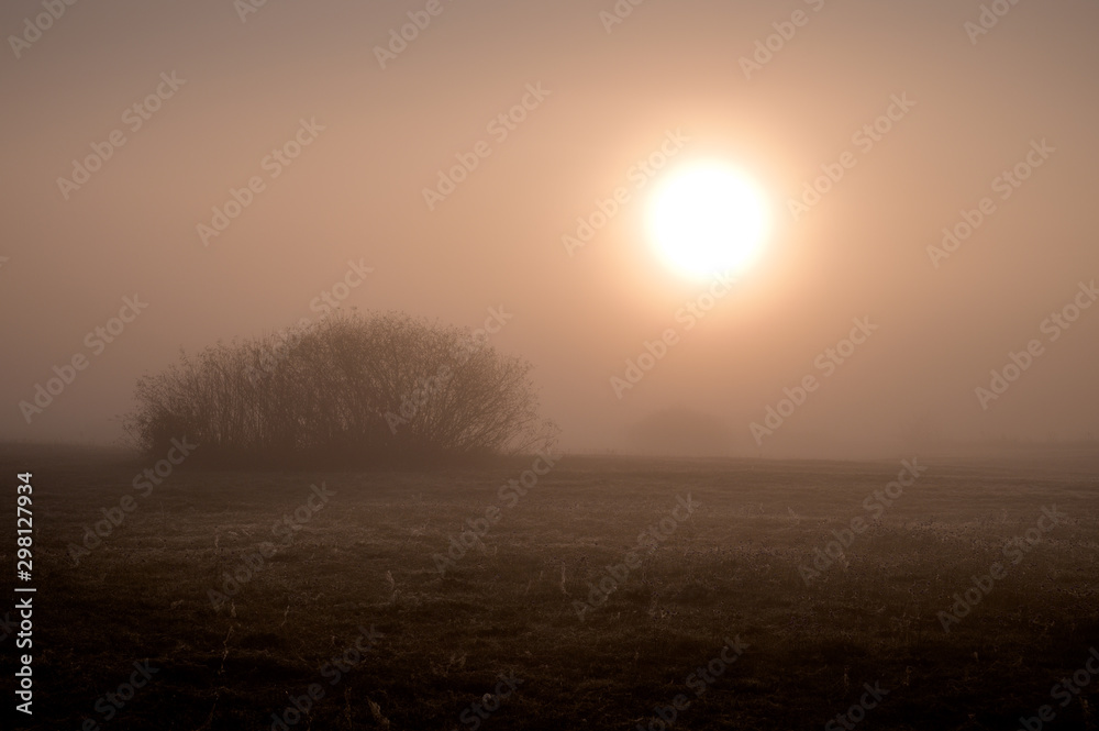foggy sunrise 