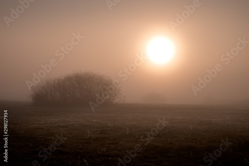 foggy sunrise 