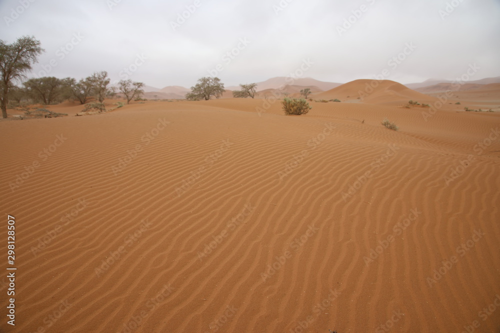 Numib desert Numib desert