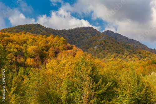 Golden autumn high in the mountains