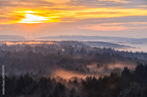 Wildlife Preserve Saurucken Naturpark Sch  nbuch