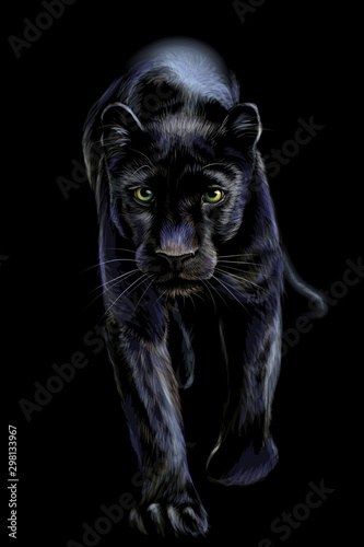  Panther. Artistic, sketchy, color portrait of a walking panther on a black background. photo