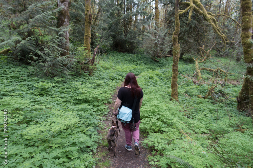 Forest in Oregon