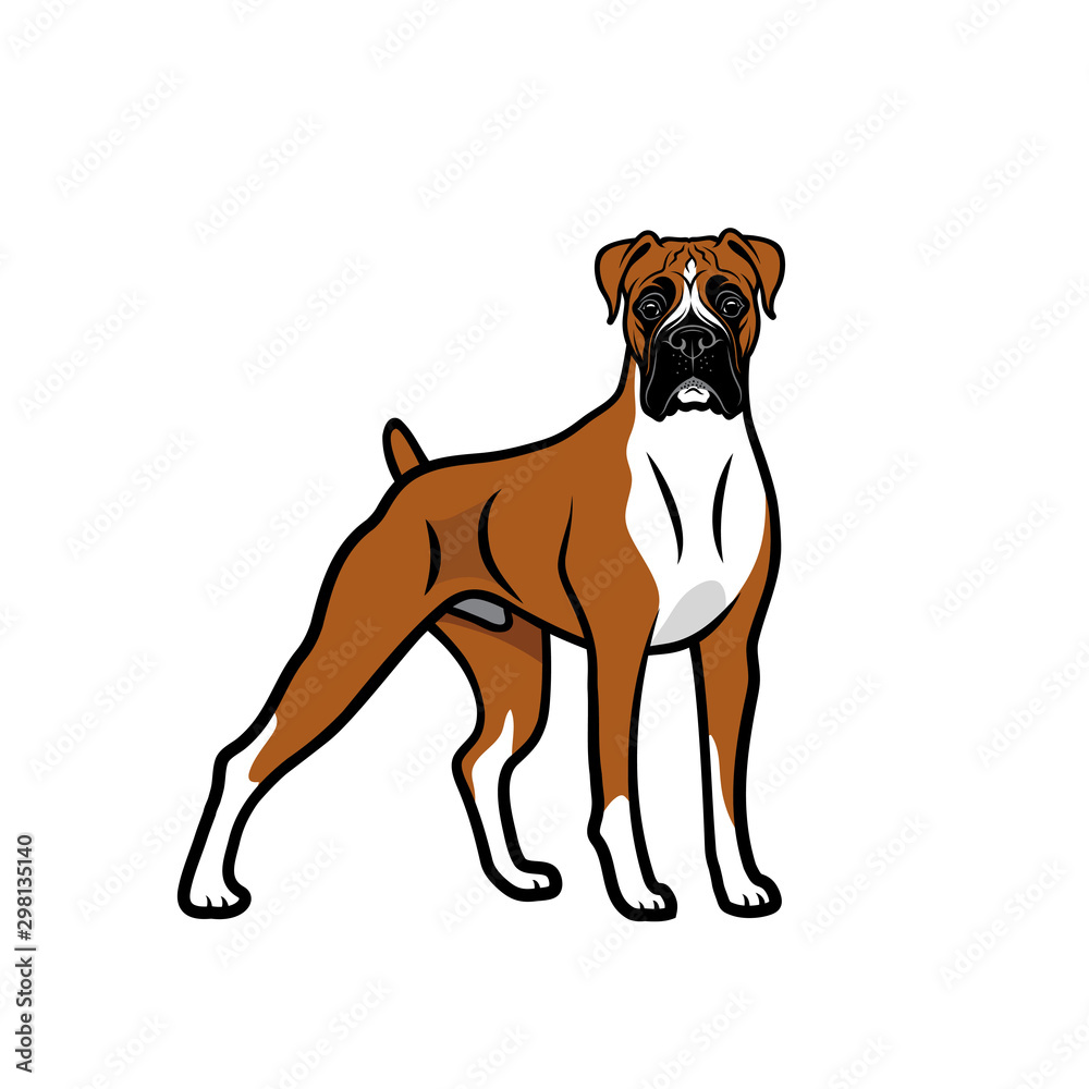 Boxer dog isolated outlined vector illustration vector de Stock