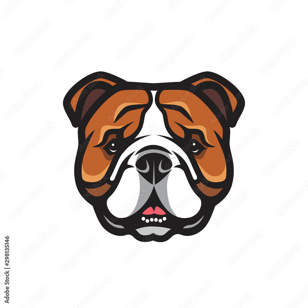 English bulldog face - isolated vector illustration