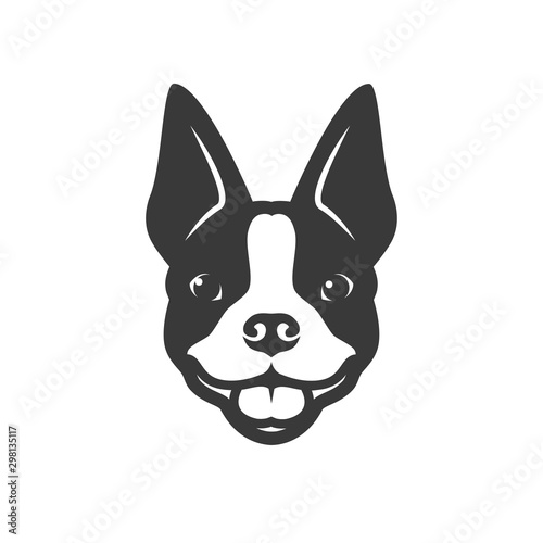 Boston terrier dog - vector illustration photo