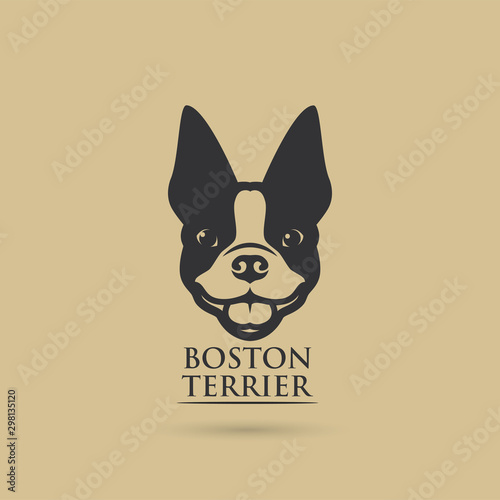 Boston terrier dog - vector illustration