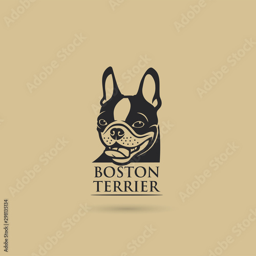 Boston terrier dog - vector illustration