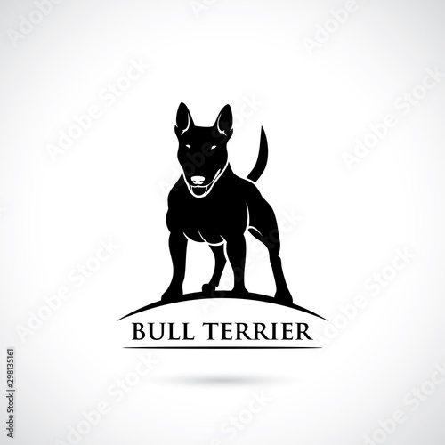 Bull Terrier dog - vector illustration