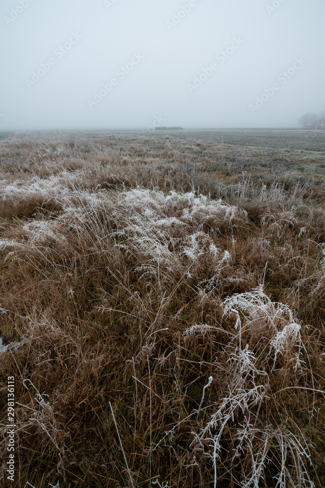 Obraz premium Frozen ground