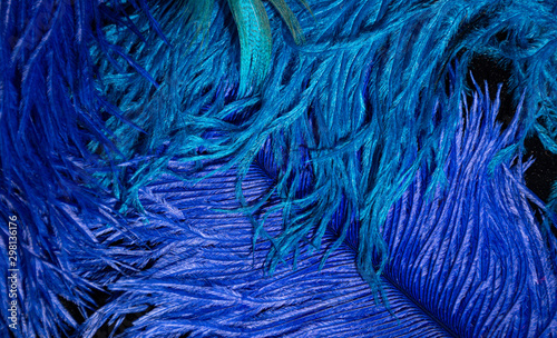 colorful feathers on a black background
