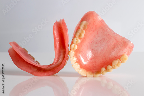 False prosthesis, jaw, teeth. Isolated.