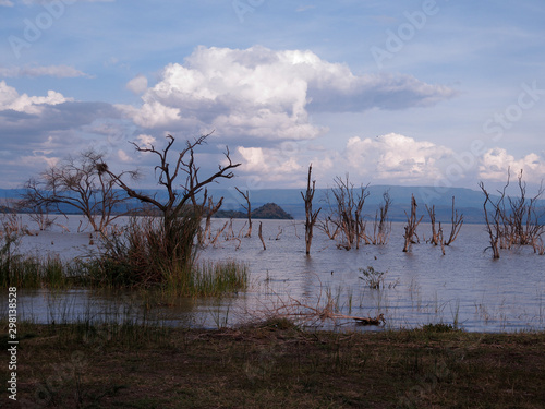 Lake Nakuru National Park photo