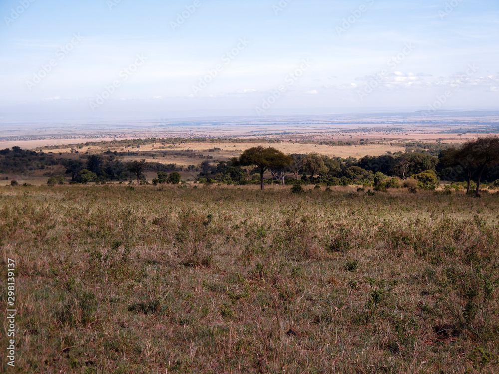 Masai Mara, Kenya