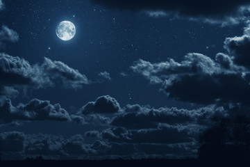 Fototapete Vollmond Großer Mond in dunkler Nacht  © Galushchenkova