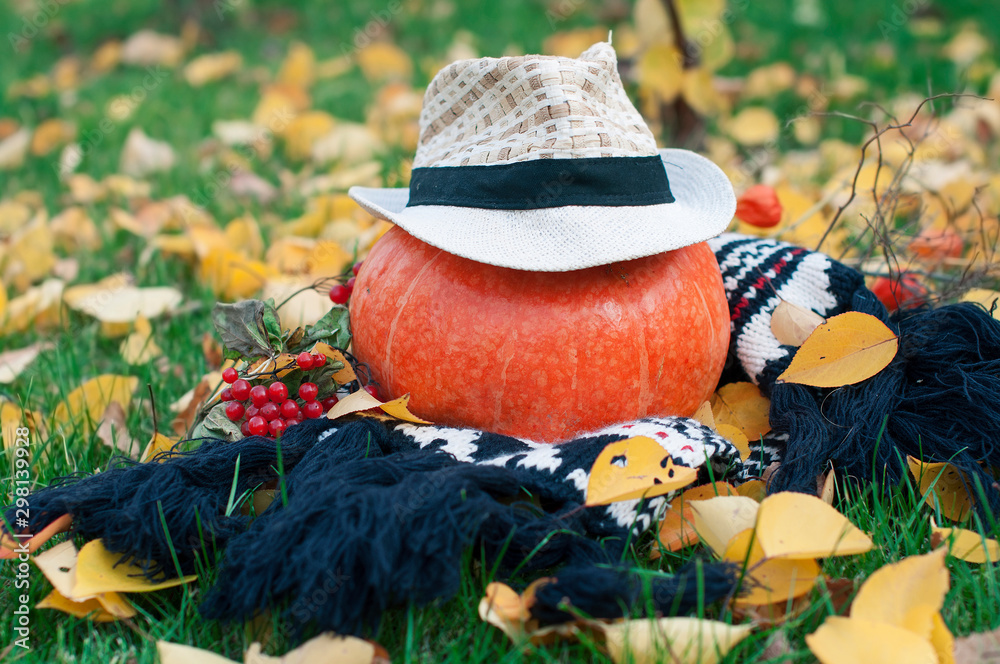 A large orange pumpkin lies on a lawn with a warm scarf in  a hat among dry autumn yellow leaves in fine sunny weather outside