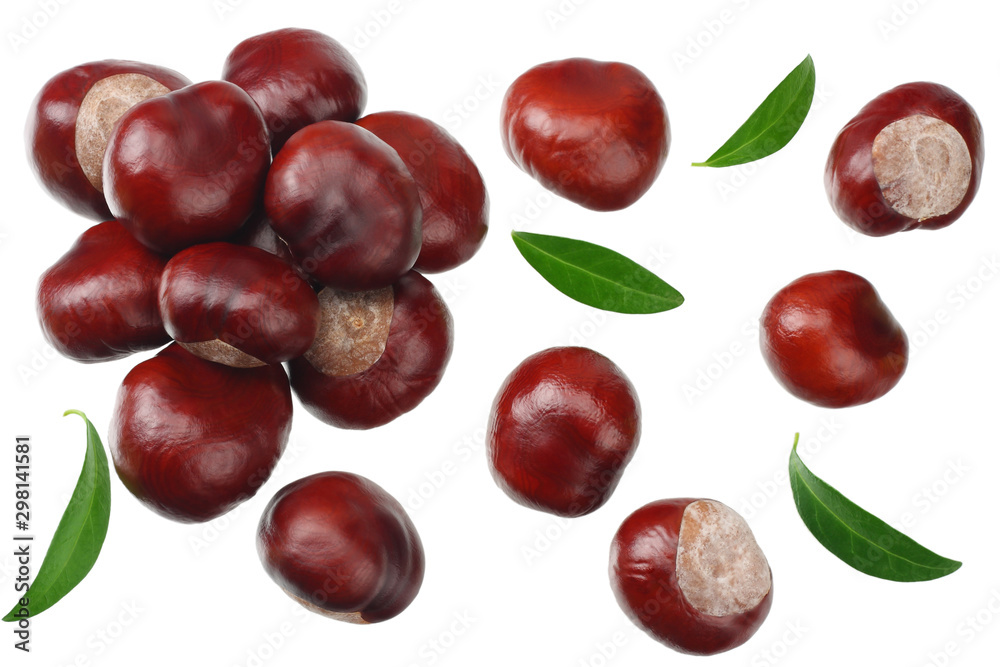 chestnuts with green leaves isolated on white background. top view chestnuts with green leaves isolated on white background. top view