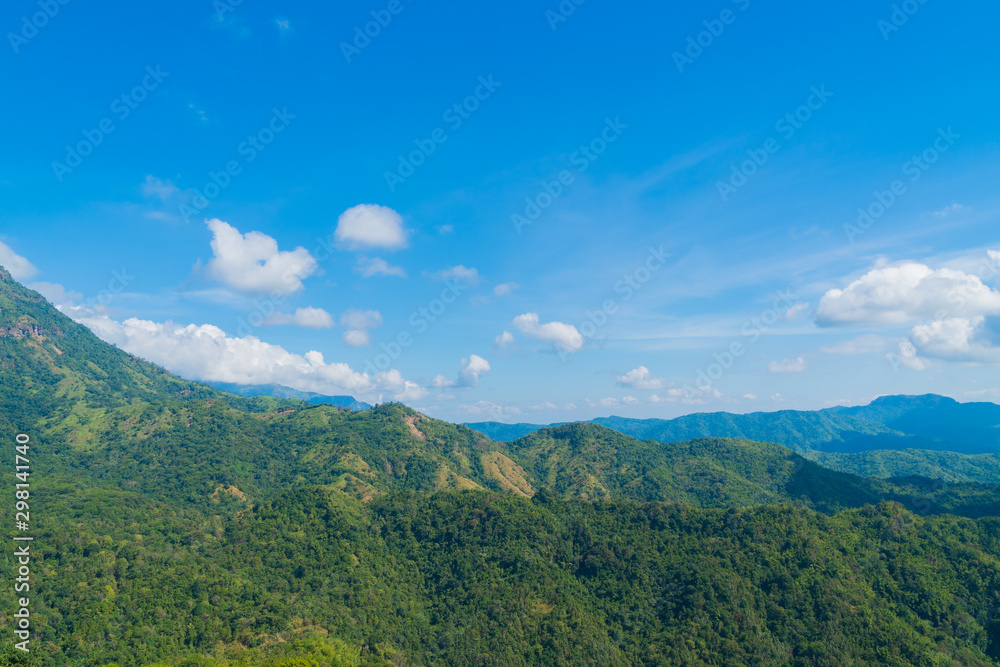 Landscape of forest and mountain.