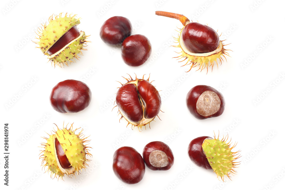 chestnuts isolated on white background. top view chestnuts isolated on white background. top view