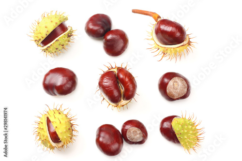 chestnuts isolated on white background. top view