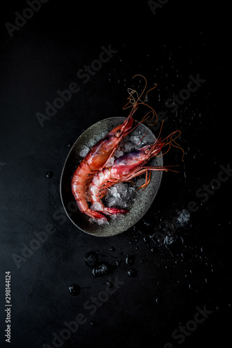 Red Shrimp photo