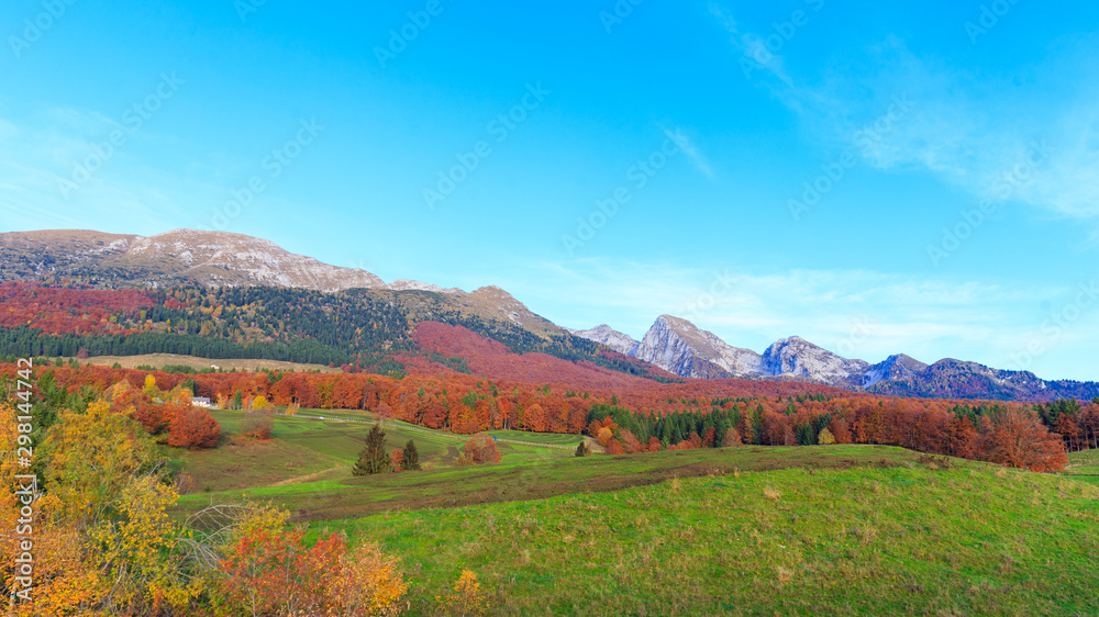 Naklejka premium Colori autunnali in localita Col Indes, Cansiglio, Italy