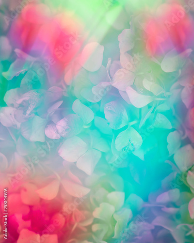 Rainbow screen all over hortensia flowers pattern photo