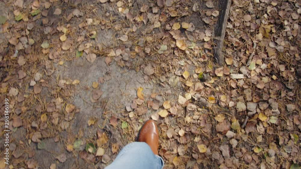 close up of feet in brown boots and dog walking on autumn leaves in the forest close up of feet in brown boots and dog walking on autumn leaves in the forest