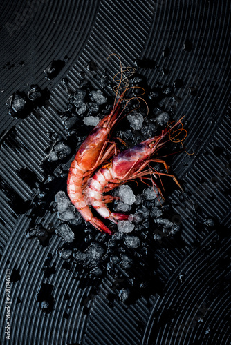 Red Shrimp photo