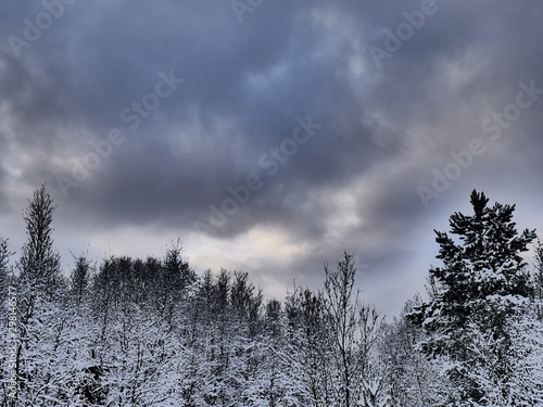 ciel d'hiver au dessus de la forêt © Carine