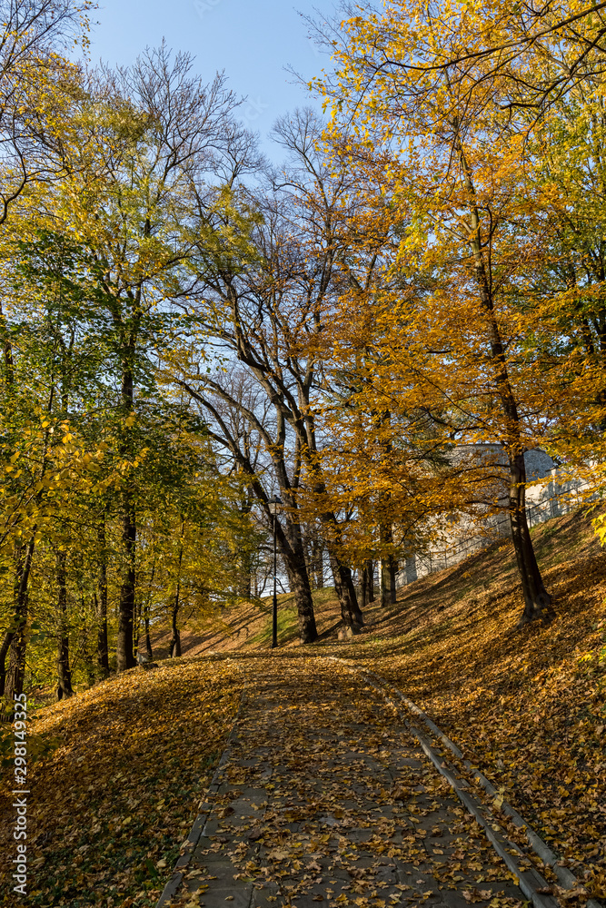 Obraz premium Jesień,park. Przemyśl