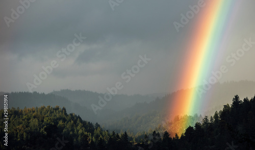 Bright rainbow shining on a valley of trees photo