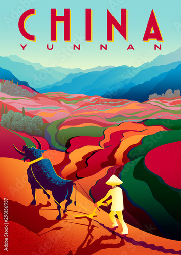 Rural landscape in sunny day in Yunnan Province, China with peasant, bull, flower fields and mountains in the background.
