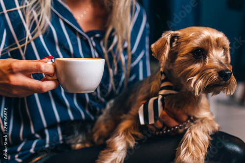 Girl drinking coffee with dog in caffe