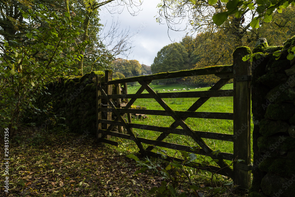 An old wooden gate seperates hikers and sheep by Lake Windermere during the autumn of 2019.