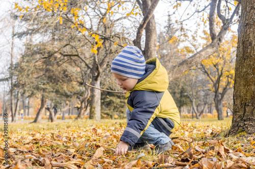 toddler with a stick in his hands plays among foliage in city Park in autumn