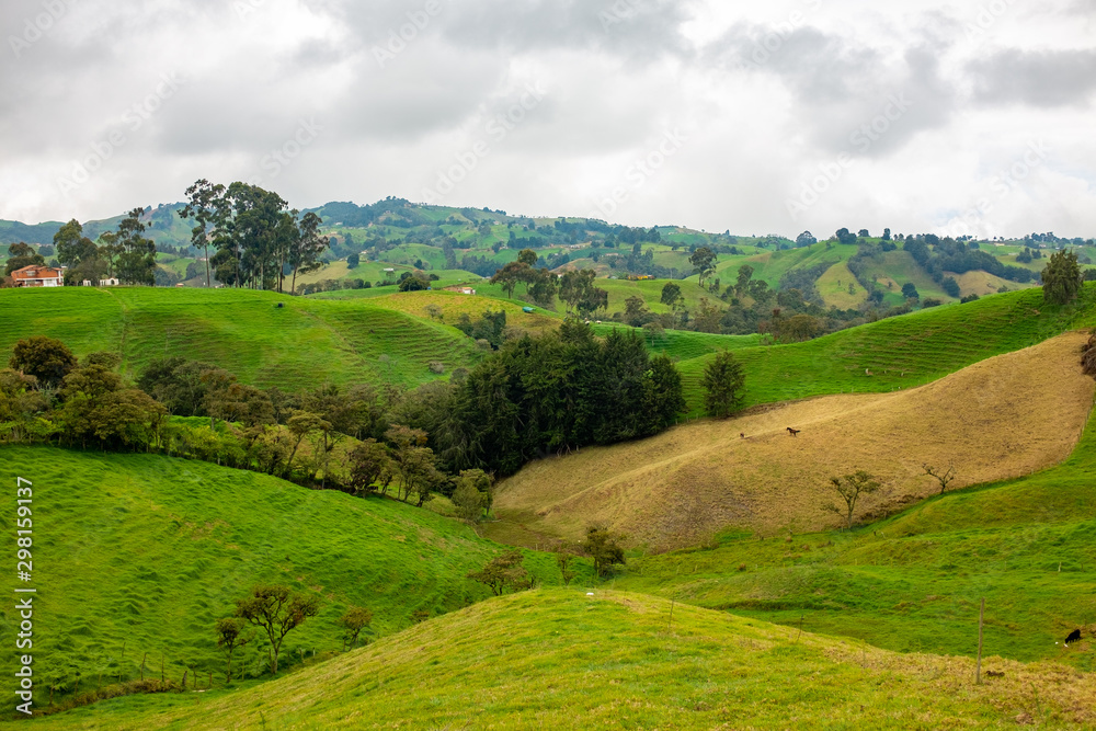 Green Hills full of Pasture for Cattle in Antioquia / Colombia