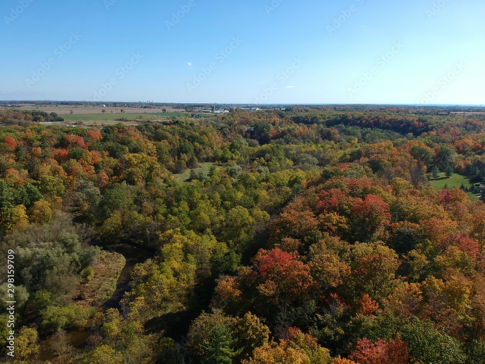 Aerial of a fall forest Aerial of a fall forest