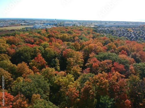 Aerial of a fall forest