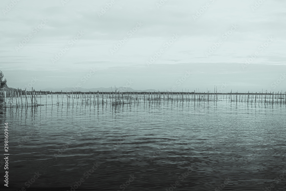 Obraz premium Lagoon in Pinedo town of Valencia