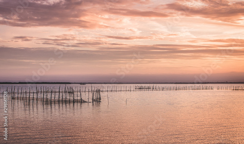 Lagoon in Pinedo town of Valencia